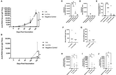 A Single-Dose Intramuscular Nanoparticle Vaccine With or Without Prior Intrauterine Priming Triggers Specific Uterine and Colostral Mucosal Antibodies and Systemic Immunity in Gilts but Not Passive Protection for Suckling Piglets